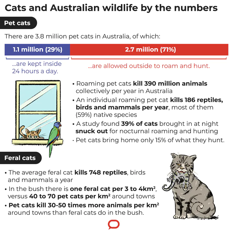 Cats and Australian wildlife