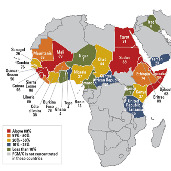 Female genital mutilation