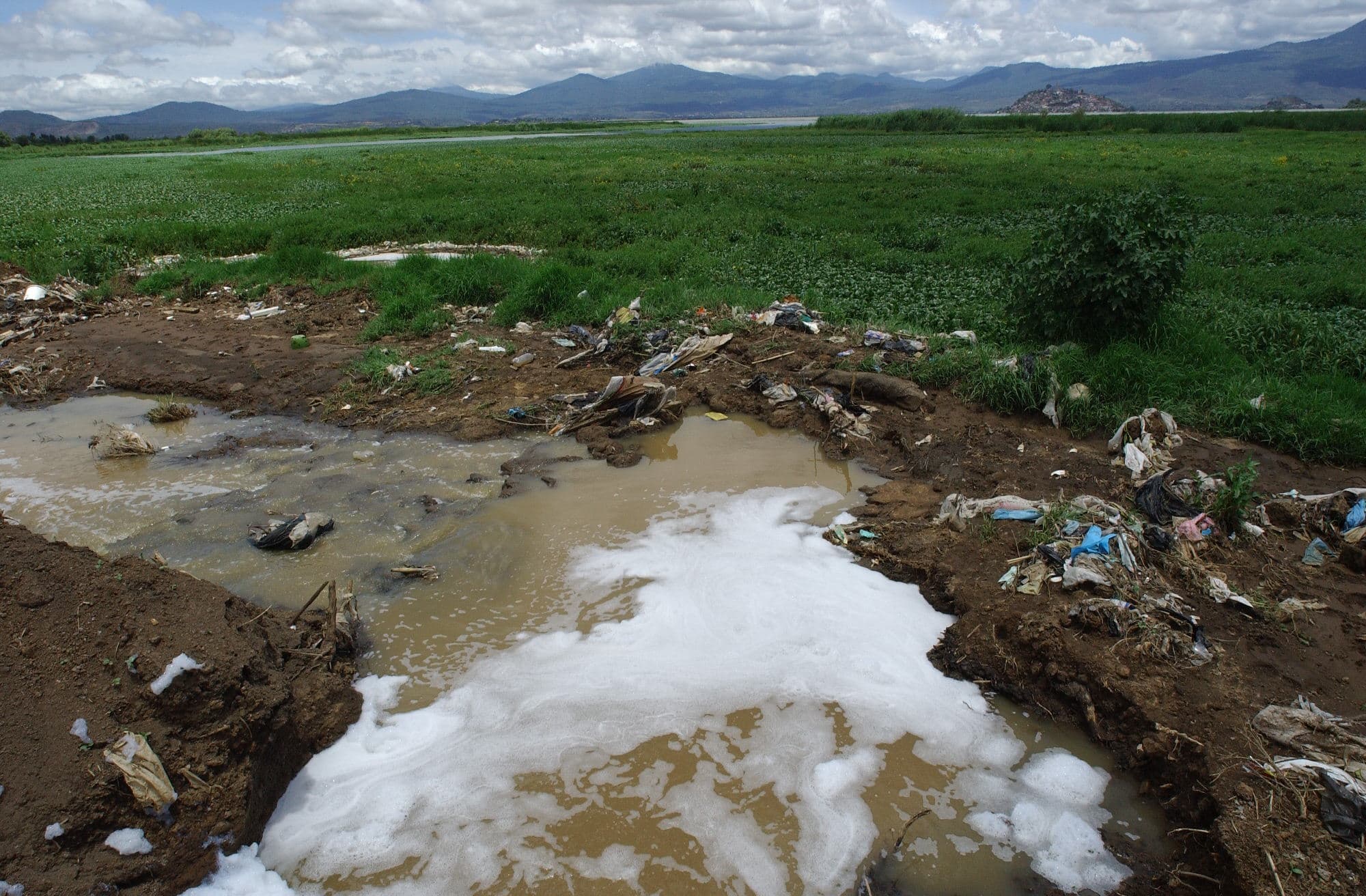 Non-biodegradable plastic waste (Source: Michel Traverse)