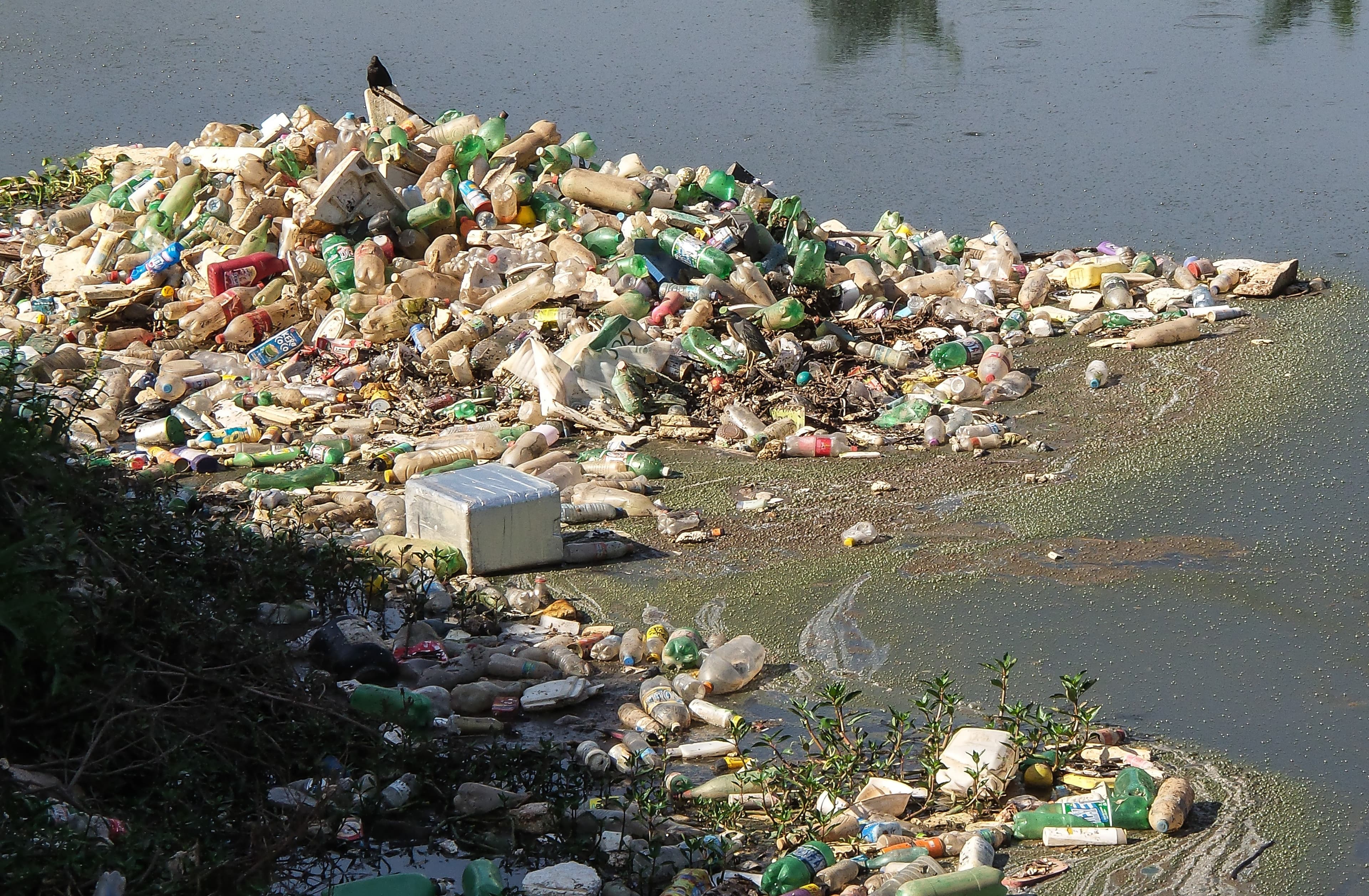 River pollution (Source: Pixabay.com)